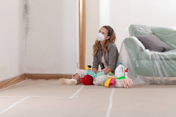 Reliable Mold Remediation contractor in Inver Grove Heights, MN by WQB Mold Removal